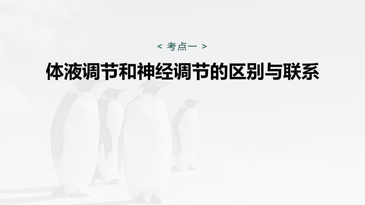 第八单元 第37课时 体液调节与神经调节的关系第5页