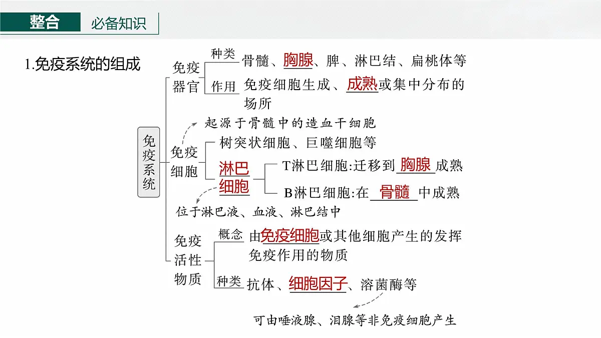 第八单元 第38课时 免疫系统的组成、功能及特异性免疫第6页