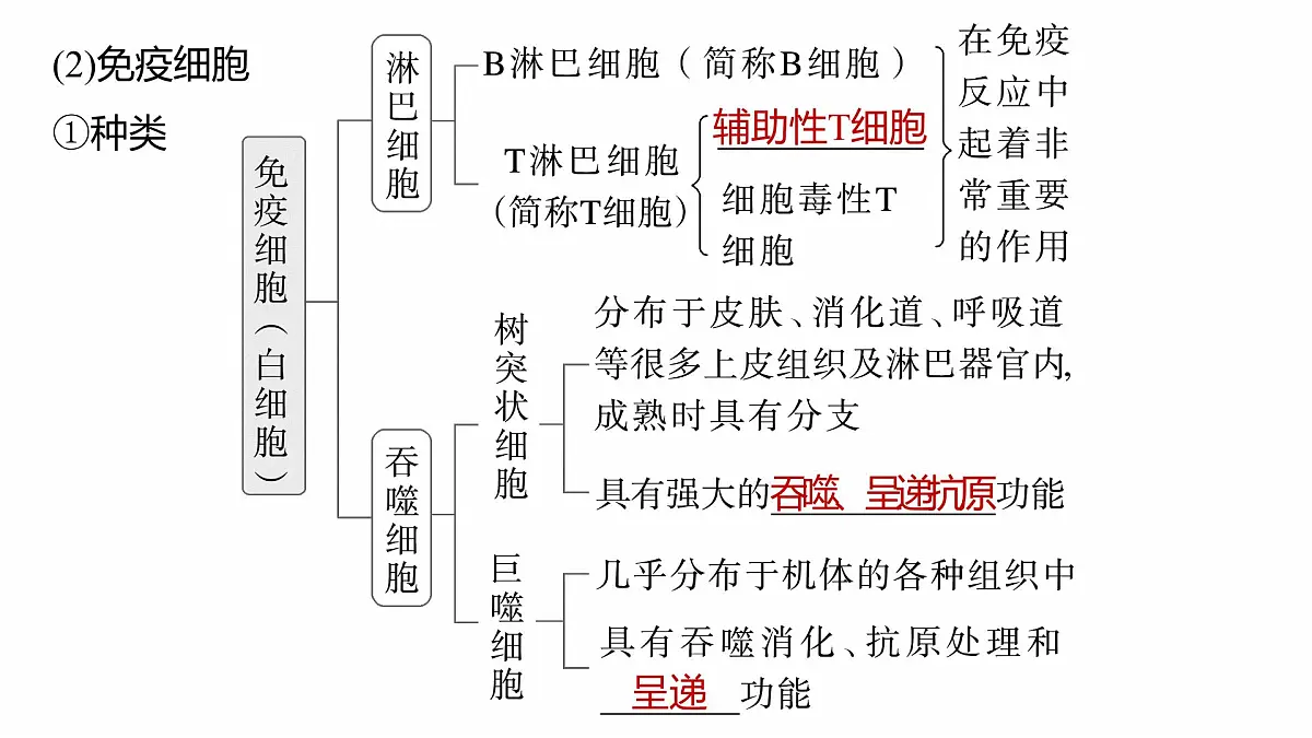 第八单元 第38课时 免疫系统的组成、功能及特异性免疫第8页