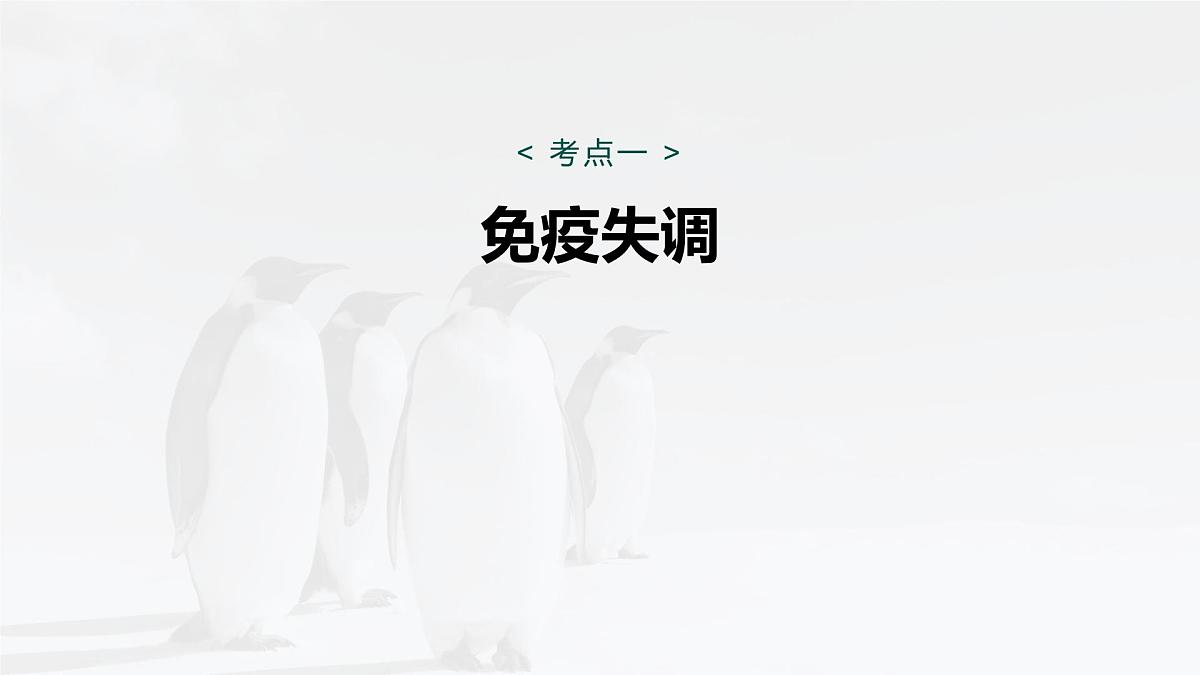 第八单元 第39课时 免疫失调和免疫学的应用第5页
