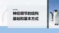 第八单元 第33课时 神经调节的结构基础和基本方式-2026年高考生物大一轮复习课件(含试题及答案)