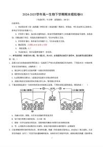 2025年人教A版高一生物下学期期末模拟考试试卷01及其答案