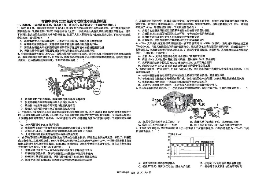 2025届四川省成都市树德中学高三适应性考试生物试题(高考模拟)第1页