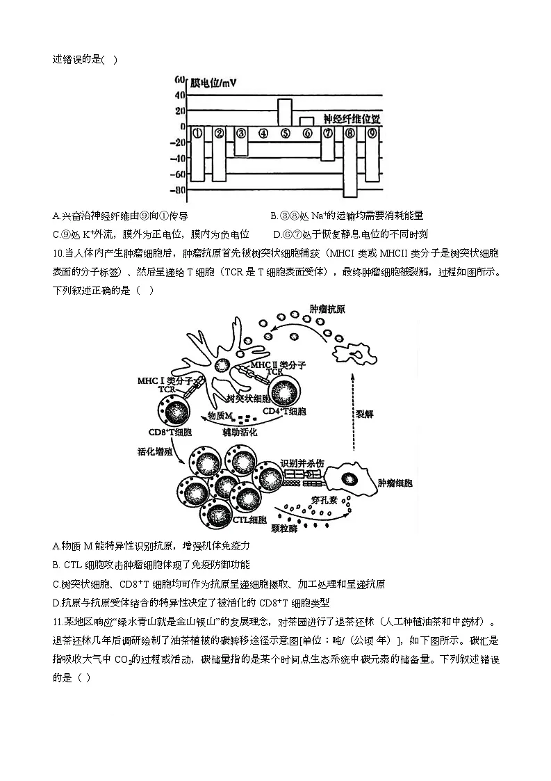 2025届四川省成都市树德中学高三下学期适应性考试生物试题第3页
