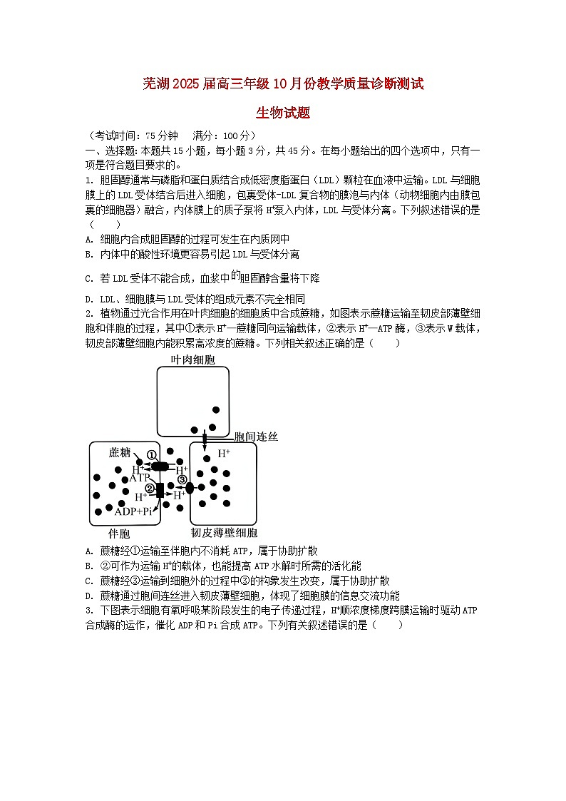 安徽省芜湖市2024_2025学年高三生物上学期10月教学质量诊断测试第1页