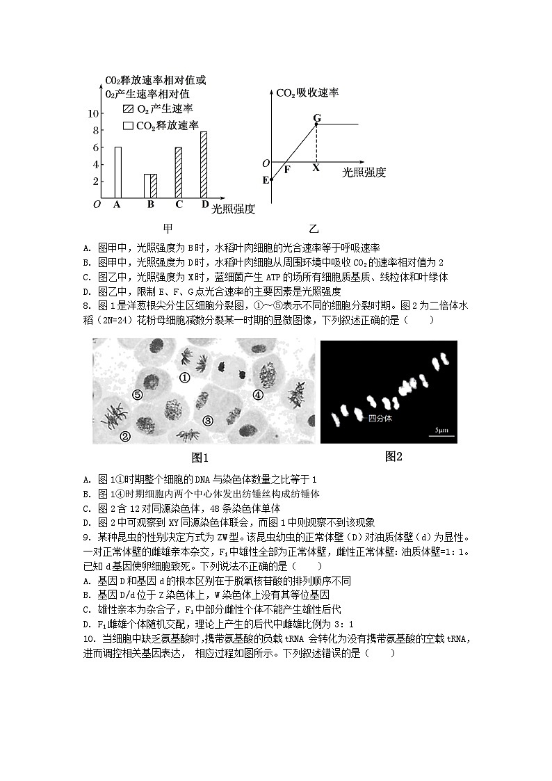 安徽省芜湖市2024_2025学年高三生物上学期10月教学质量诊断测试第3页