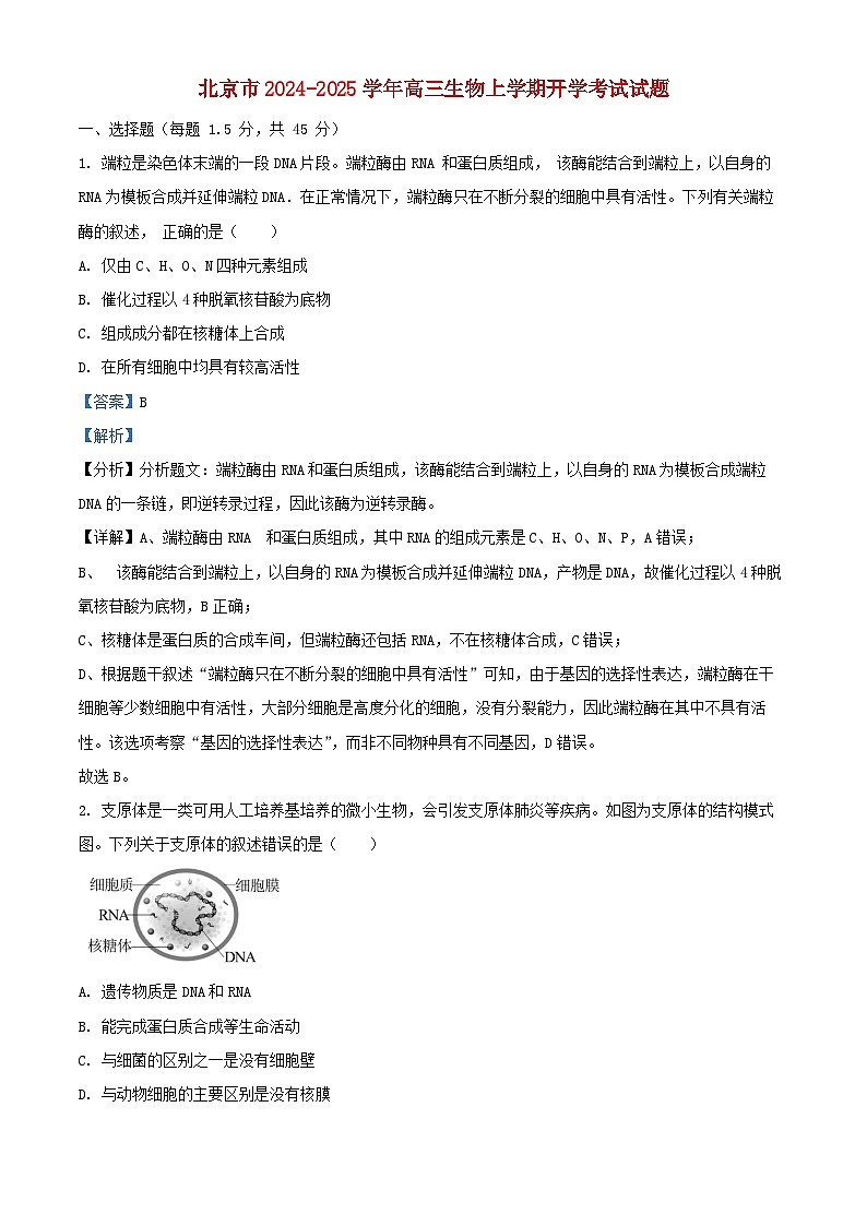 北京市2024_2025学年高三生物上学期开学考试试题含解析第1页
