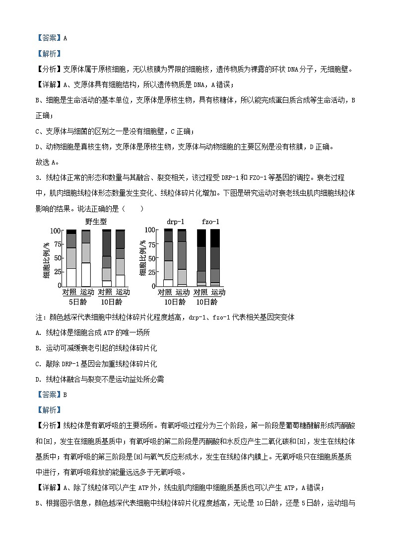 北京市2024_2025学年高三生物上学期开学考试试题含解析第2页