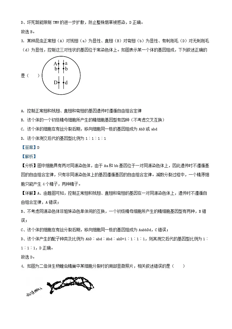 北京市怀柔区2024_2025学年高三生物上学期10月月考试题含解析第2页