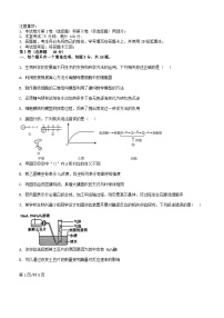 四川省成都市金牛区2024_2025学年高三生物上学期开学考试试题