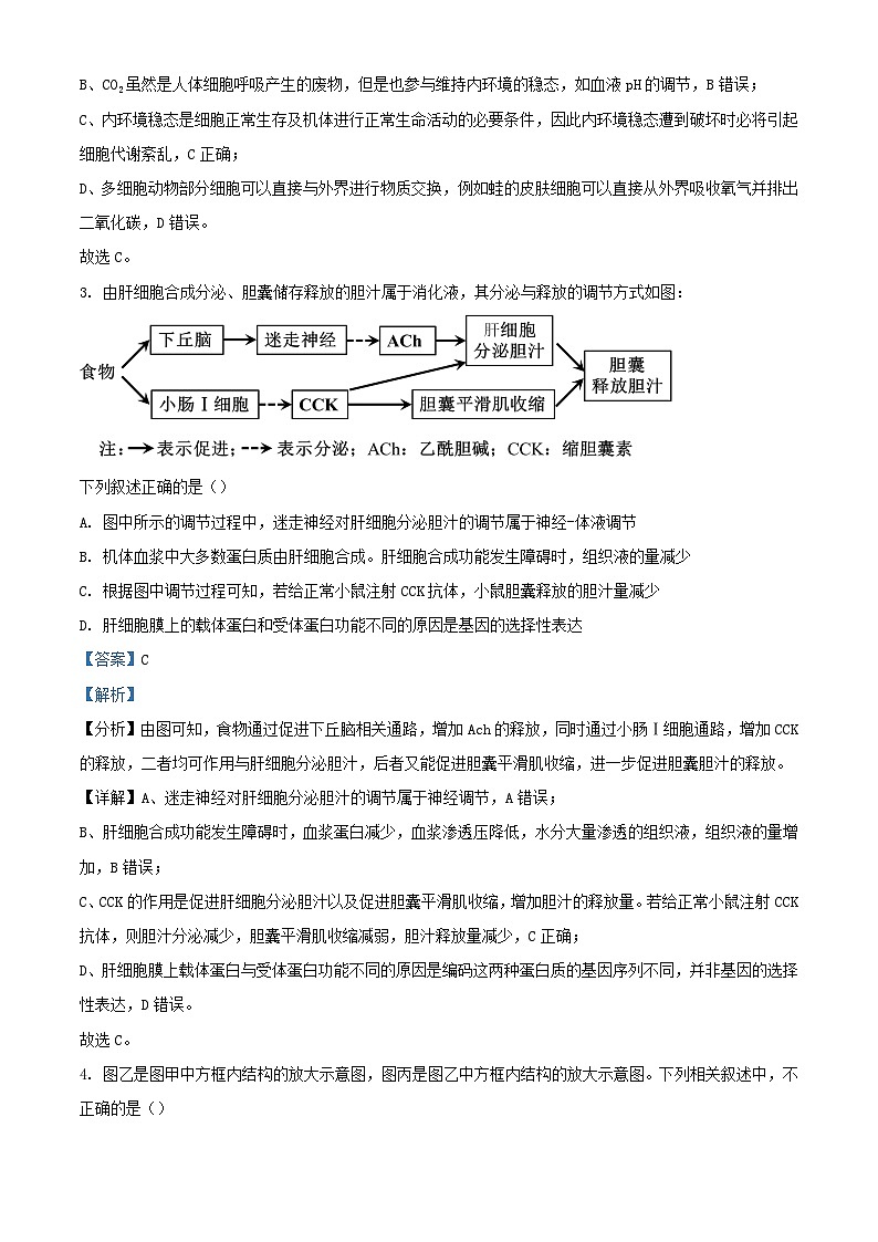 湖北省武汉市2024_2025学年高二生物上学期10月联考试卷含解析第2页
