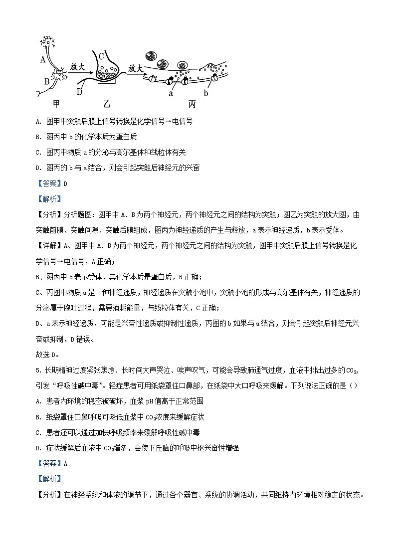 湖北省武汉市2024_2025学年高二生物上学期10月联考试卷含解析第3页