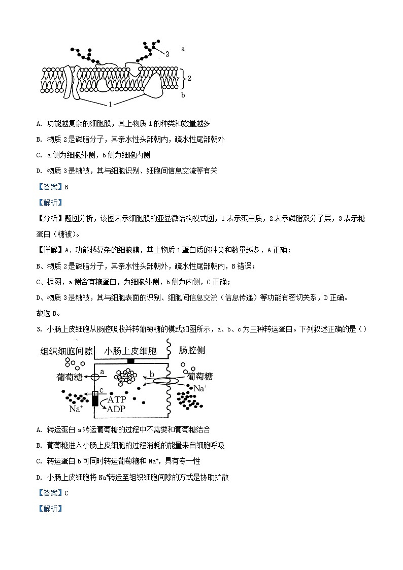 湖南省2024_2025学年高二生物上学期10月月考试题含解析第2页