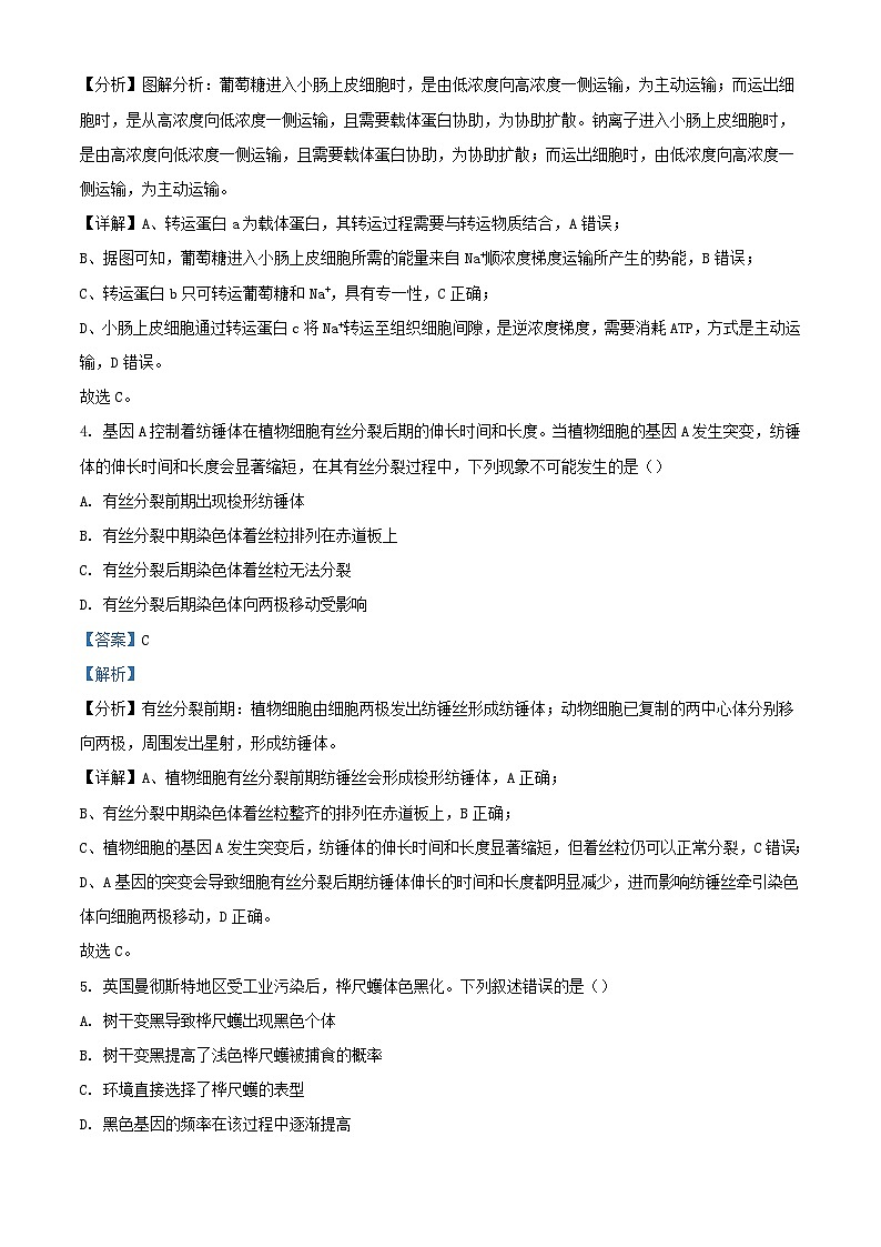 湖南省2024_2025学年高二生物上学期10月月考试题含解析第3页