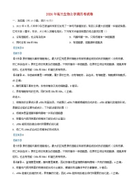 湖南省临湘市2025届高三生物上学期9月月考试题含解析