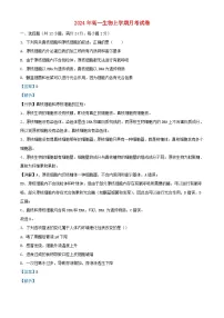 湖南省岳阳市临湘市2024_2025学年高二生物上学期9月月考试题含解析