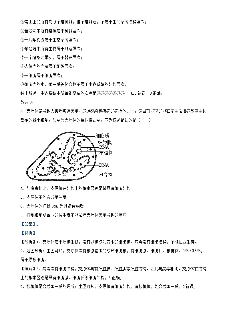 北京市2023_2024学年高一生物10月月考试含解析第3页