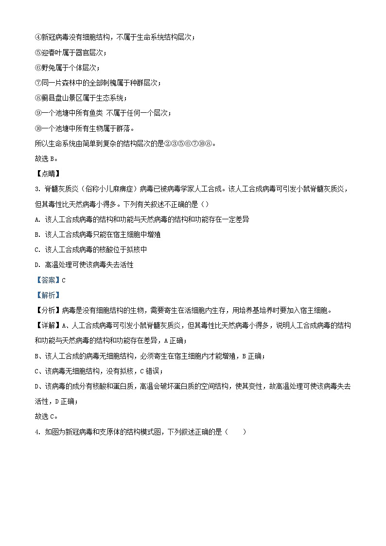北京市2023_2024学年高一生物10月月考试题含解析第2页