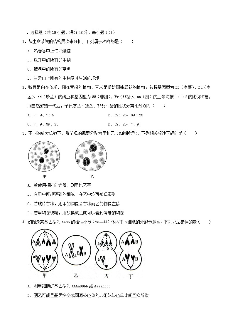 湖南省岳阳市岳阳县2024_2025学年高二生物上学期9月月考试题第1页