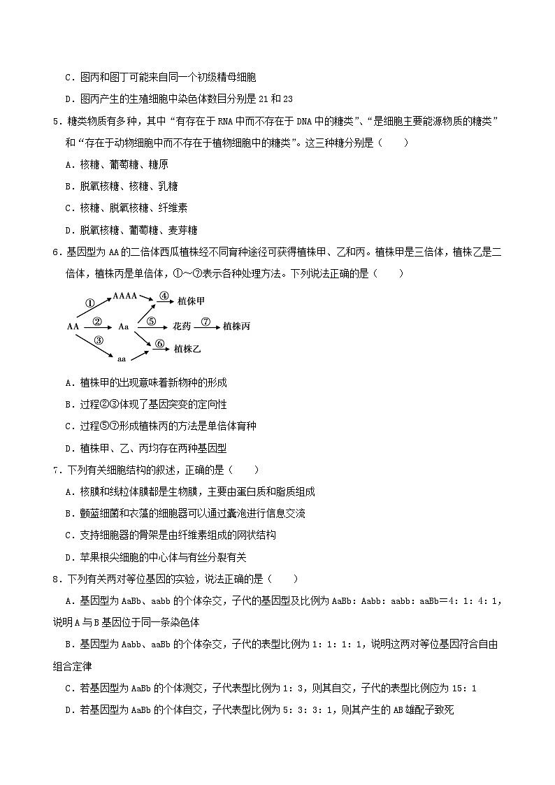 湖南省岳阳市岳阳县2024_2025学年高二生物上学期9月月考试题第2页