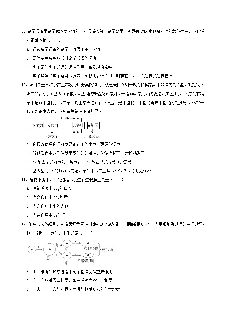 湖南省岳阳市岳阳县2024_2025学年高二生物上学期9月月考试题第3页
