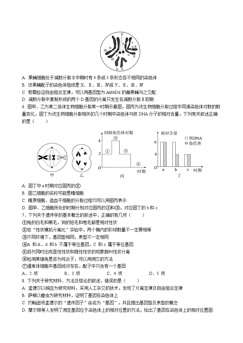 高2026届高一下期期末考试生物试题第2页