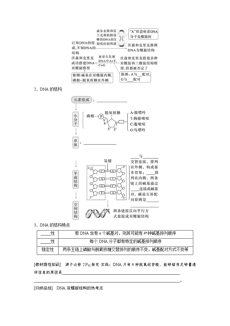 第六單元　第26課時(shí)　DNA的結(jié)構(gòu)、復(fù)制和基因的本質(zhì)（學(xué)生版）第2頁
