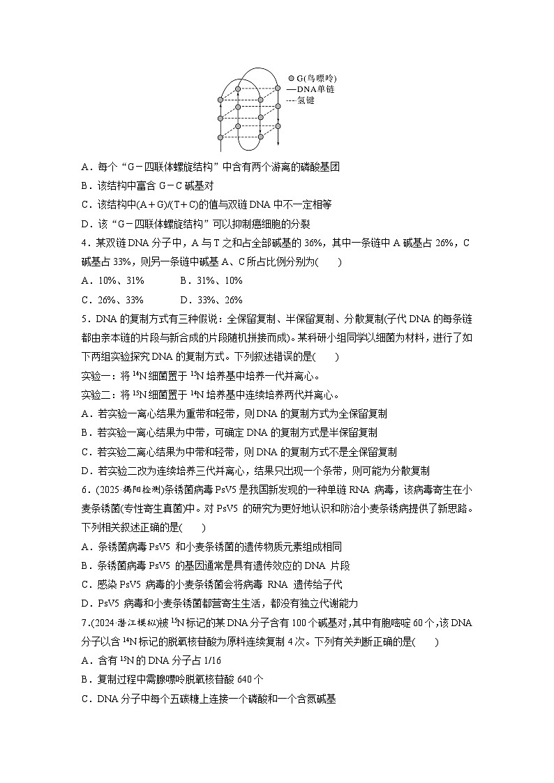 第六單元　課時(shí)練26　DNA的結(jié)構(gòu)、復(fù)制和基因的本質(zhì)（專練）第2頁