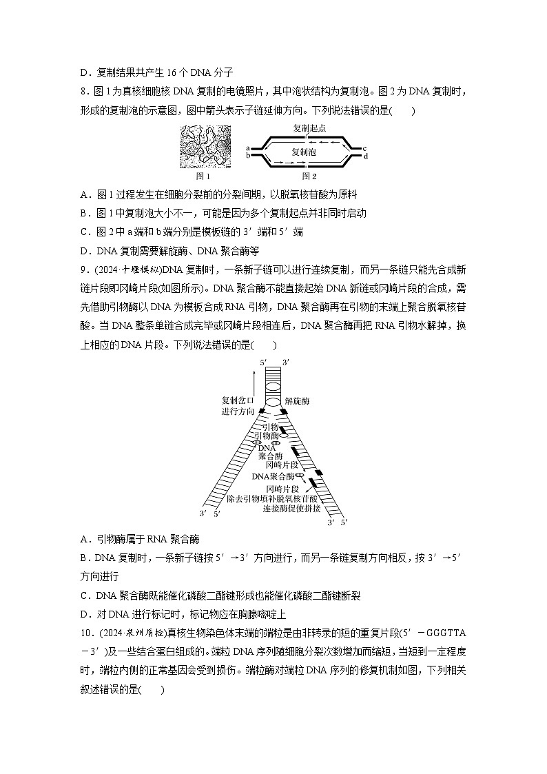第六單元　課時(shí)練26　DNA的結(jié)構(gòu)、復(fù)制和基因的本質(zhì)（專練）第3頁