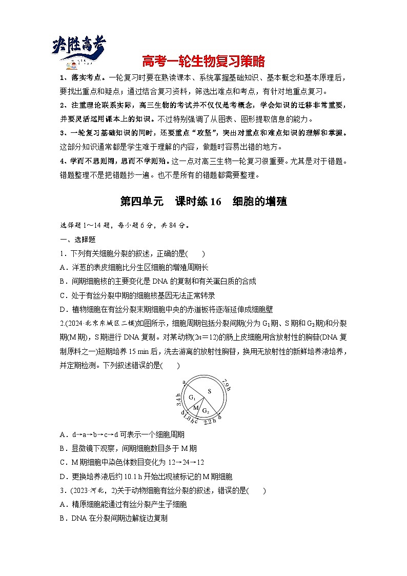 第四單元 課時練16 細(xì)胞的增殖(專練)第1頁