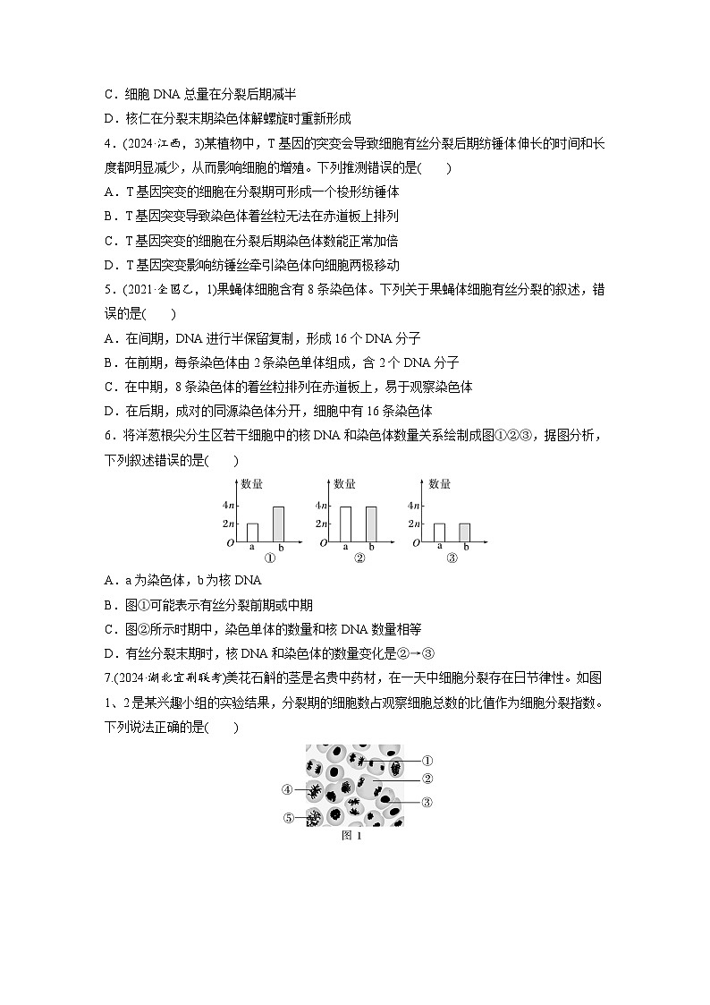 第四單元 課時練16 細(xì)胞的增殖(專練)第2頁