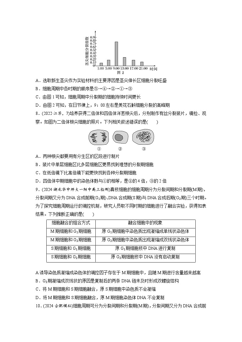 第四單元 課時練16 細(xì)胞的增殖(專練)第3頁