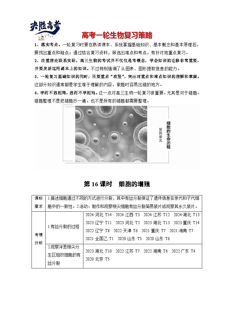 第四單元 第16課時 細(xì)胞的增殖(學(xué)生版)第1頁