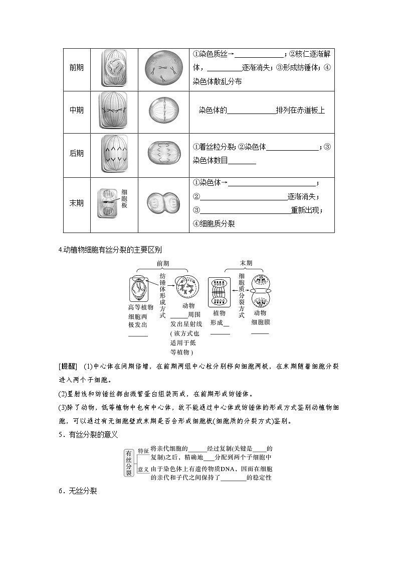 第四單元 第16課時 細(xì)胞的增殖(學(xué)生版)第3頁