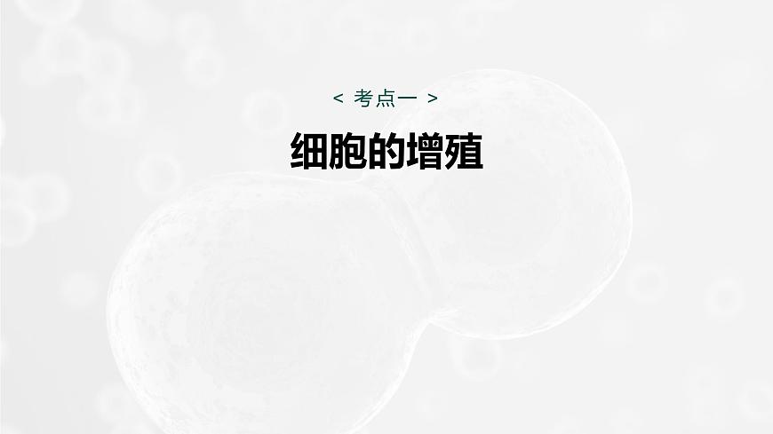 第四單元 第16課時 細(xì)胞的增殖第7頁