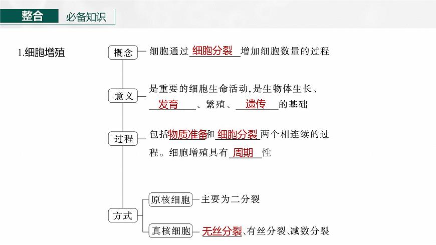 第四單元 第16課時 細(xì)胞的增殖第8頁