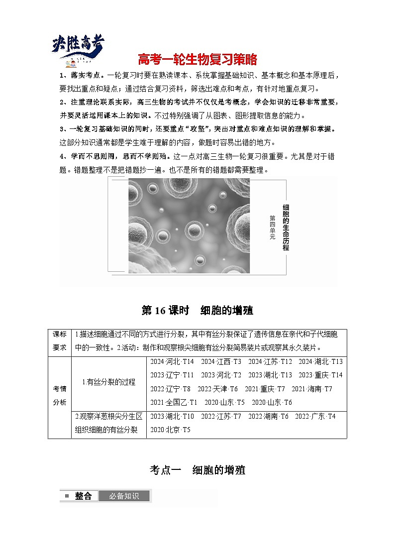 第四單元　第16課時　細(xì)胞的增殖（教師版）第1頁