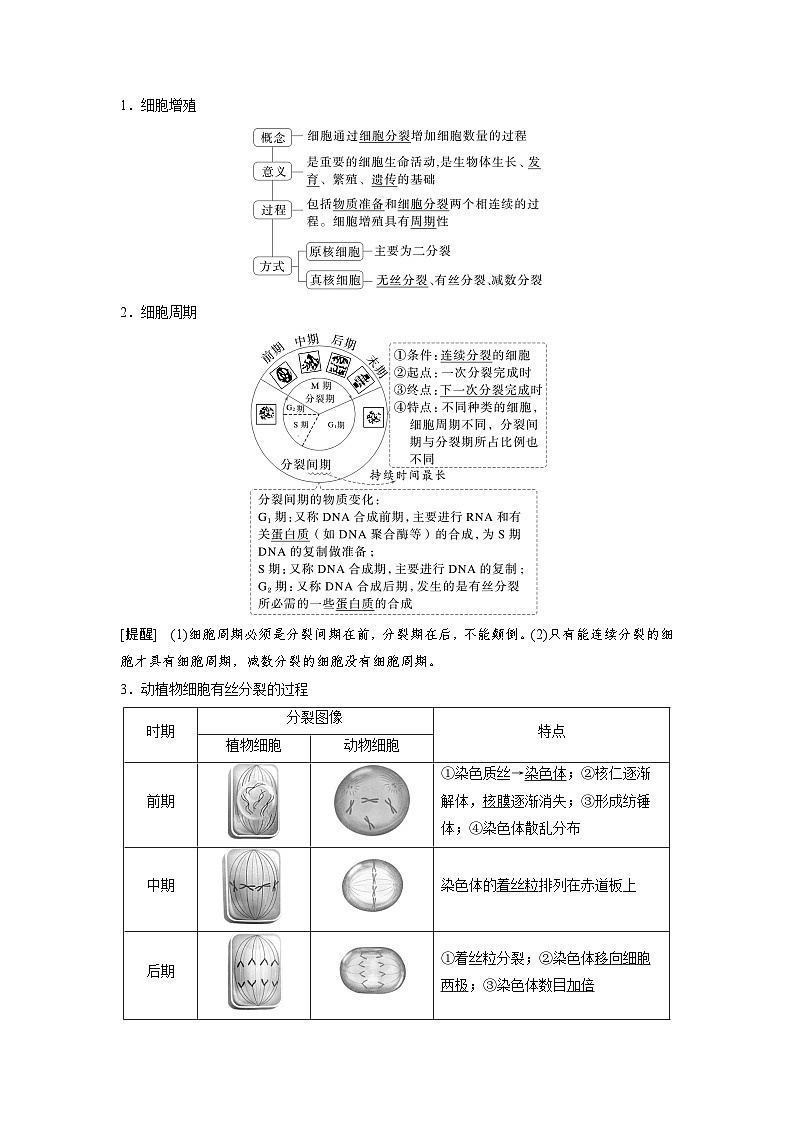 第四單元 第16課時 細(xì)胞的增殖(教師版)第2頁
