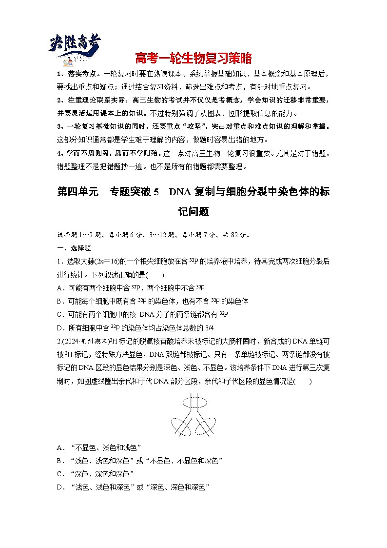第四單元 專題突破5 DNA復(fù)制與細(xì)胞分裂中染色體的標(biāo)記問題(專練)第1頁