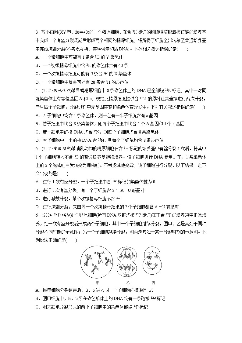 第四單元 專題突破5 DNA復(fù)制與細(xì)胞分裂中染色體的標(biāo)記問題(專練)第2頁