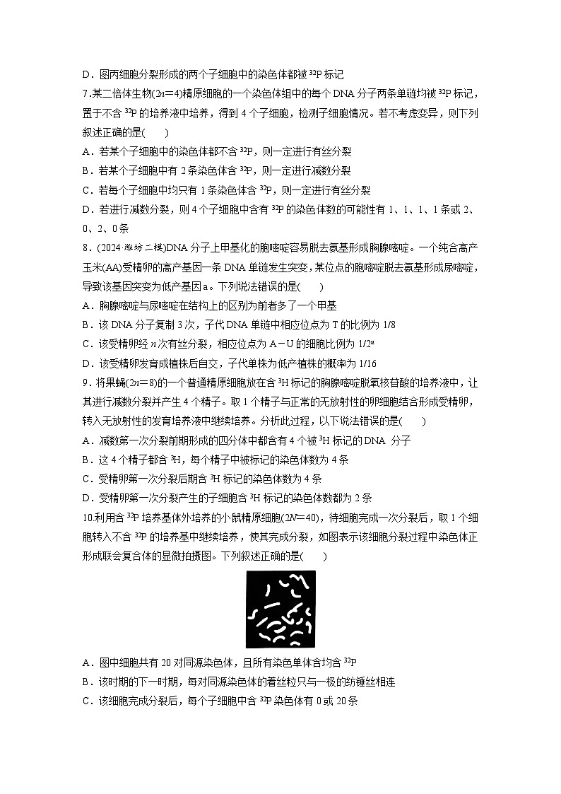 第四單元 專題突破5 DNA復(fù)制與細(xì)胞分裂中染色體的標(biāo)記問題(專練)第3頁