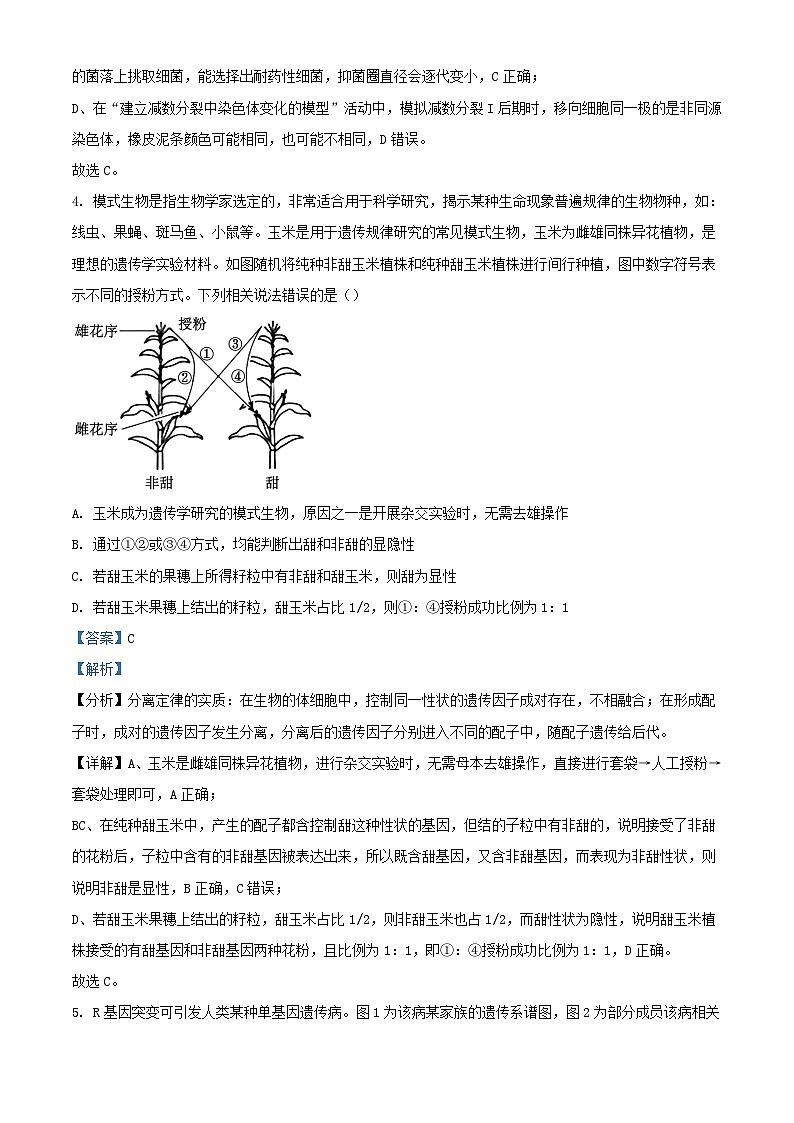 湖北省2024_2025學(xué)年高二生物上學(xué)期開(kāi)學(xué)試題含解析第3頁(yè)