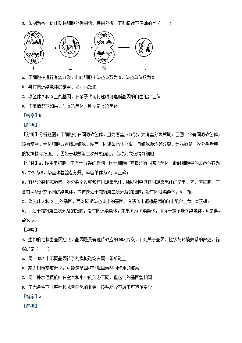 重庆市2024_2025学年高二生物上学期开学考试试题含解析第2页