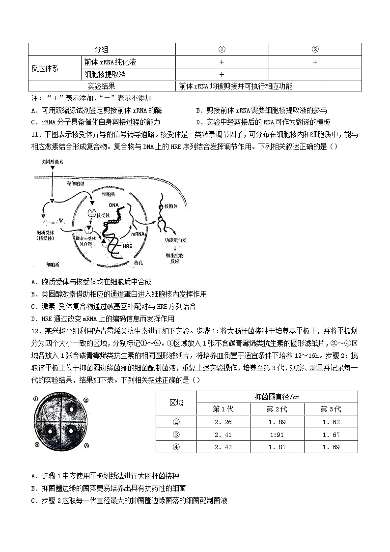 福建省泉州市2024_2025学年高三生物上学期8月开学考试第3页