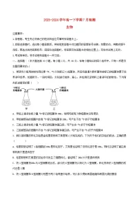 河南省漯河市2023_2024学年高一生物下学期7月月考试题含解析