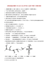 吉林省通化市梅河口市2023_2024学年高一生物下学期7月期末考试含解析