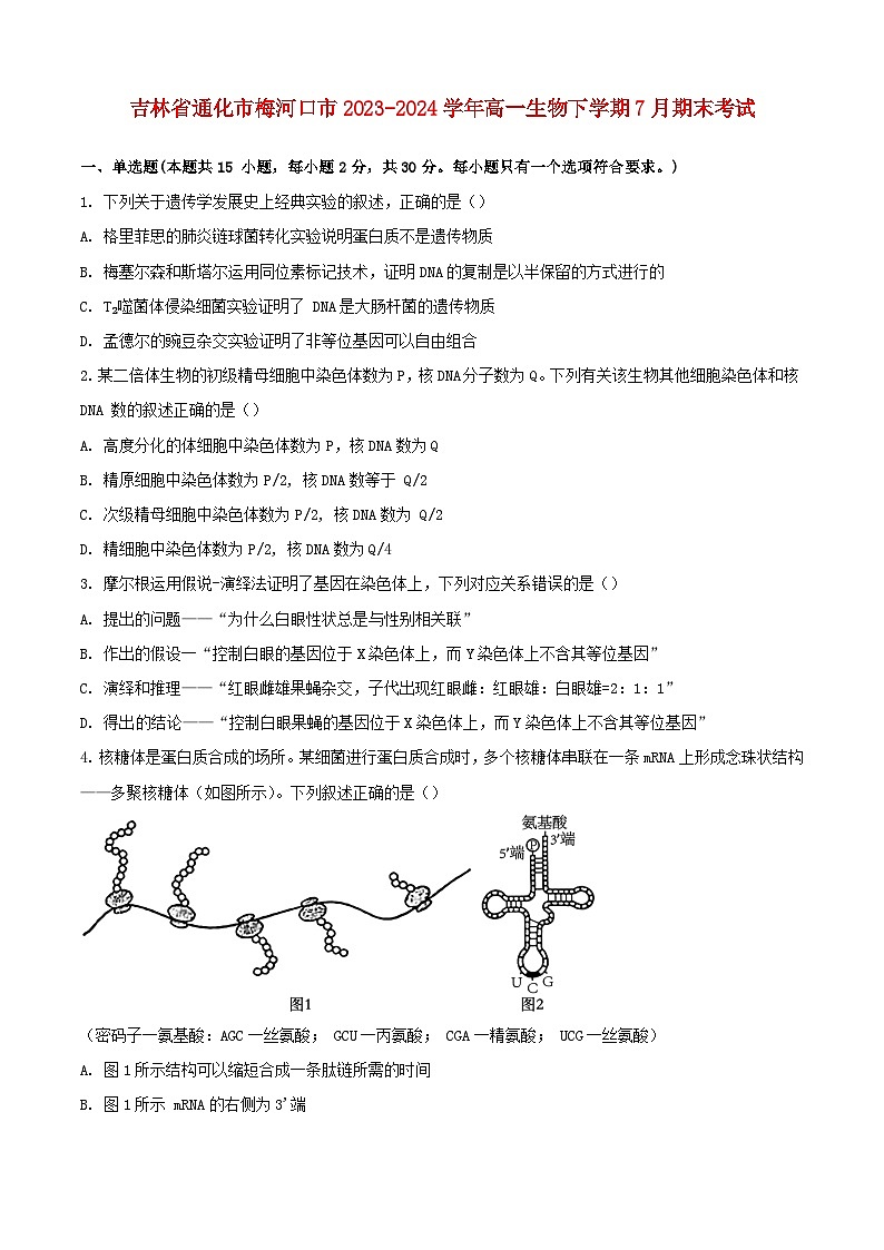 吉林省通化市梅河口市2023_2024学年高一生物下学期7月期末考试含解析第1页