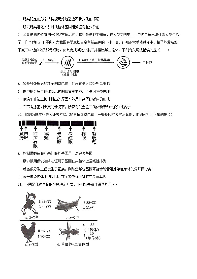 吉林省通化市梅河口市2023_2024学年高一生物下学期7月期末考试含解析第3页