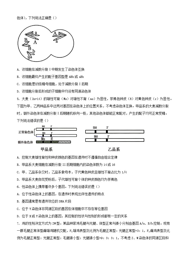 山东省菏泽市2023_2024学年高一生物下学期7月期末考试含解析第2页