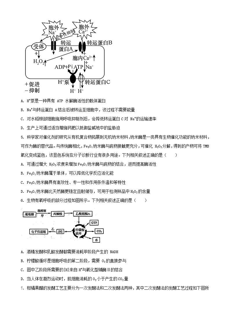 山东省济南市2023_2024学年高二生物下学期7月期末考试含解析第2页